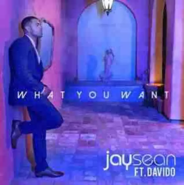 Jay Sean - What You Want ft. Davido